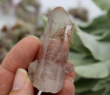 Crystals ~ Lilac Lemurian Cluster 22 grams