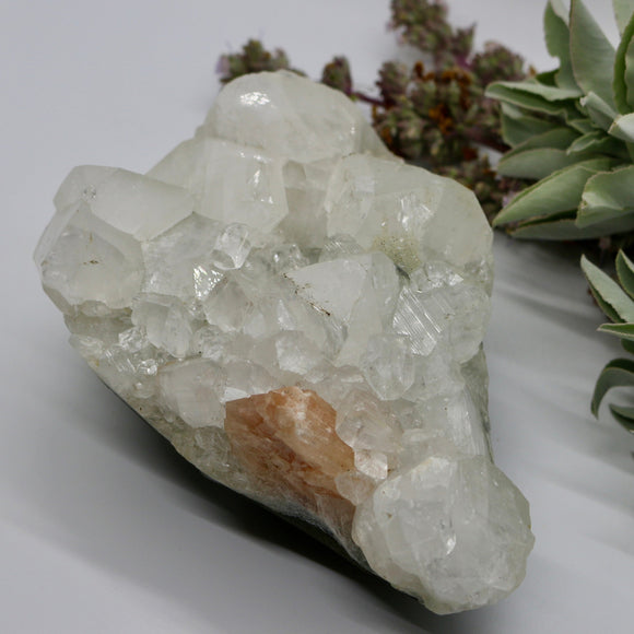 Crystals ~ Apophyllite + Stilbite Mineral 1350 grams