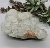 Crystals ~ Apophyllite + Stilbite Mineral 1350 grams