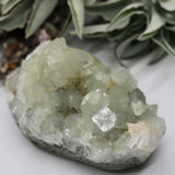 Crystals ~ Apophyllite + Stilbite Mineral 286 grams