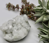 Crystals ~ Apophyllite + Stilbite Mineral 265 grams