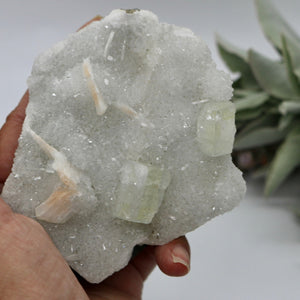 Crystals ~ Apophyllite + Stilbite + Druzy Mineral 293.5 grams