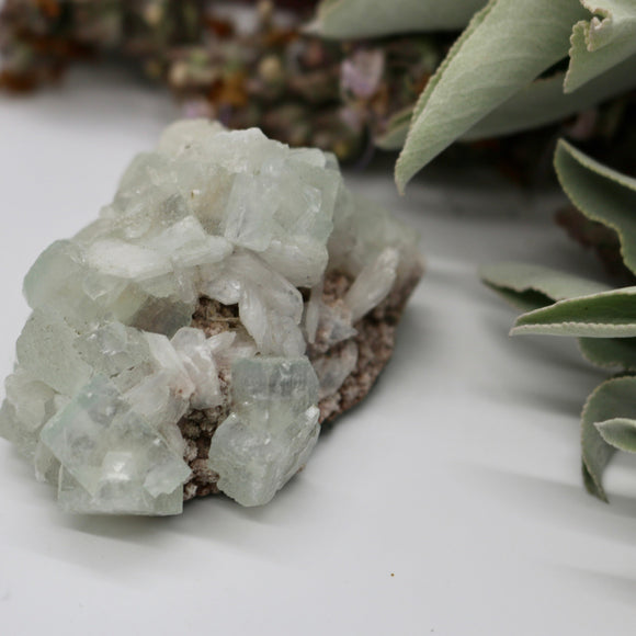 Crystals ~ Apophyllite + Stilbite Mineral 70 grams