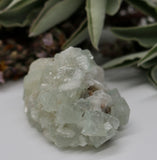 Crystals ~ Apophyllite + Stilbite Mineral 70 grams