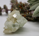 Crystals ~ Apophyllite + Stilbite Mineral 46 grams