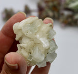 Crystals ~ Apophyllite + Stilbite Mineral 46 grams