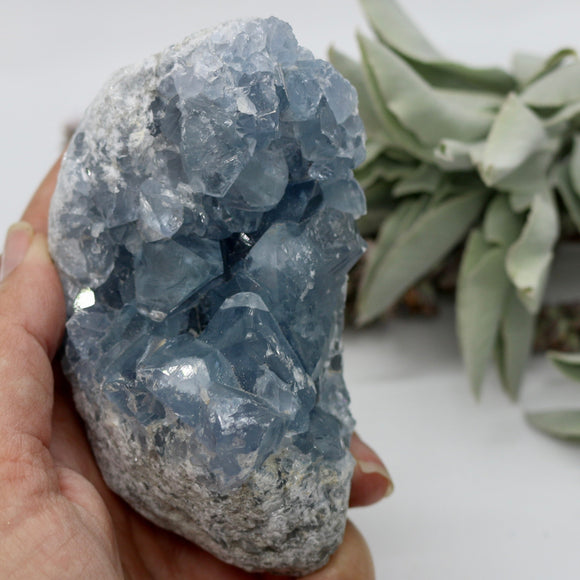 Crystals ~ Celestite 633 grams
