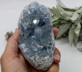 Crystals ~ Celestite 633 grams