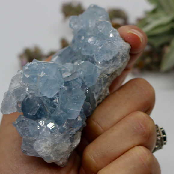 Crystals ~ Celestite 252 grams
