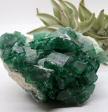 Crystals ~Rare Green Fluorite Cube Cluster ? grams
