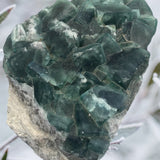 Crystals ~Rare Fluorite Cluster 1.22 LB