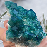 Crystals ~Rare Green Fluorite Cube Cluster 629 grams